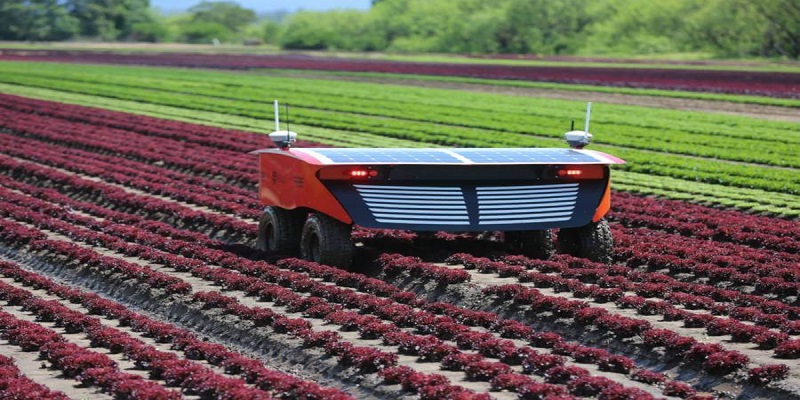 Agricultural Robots Market - Analysis & Consulting (2019-2025)
